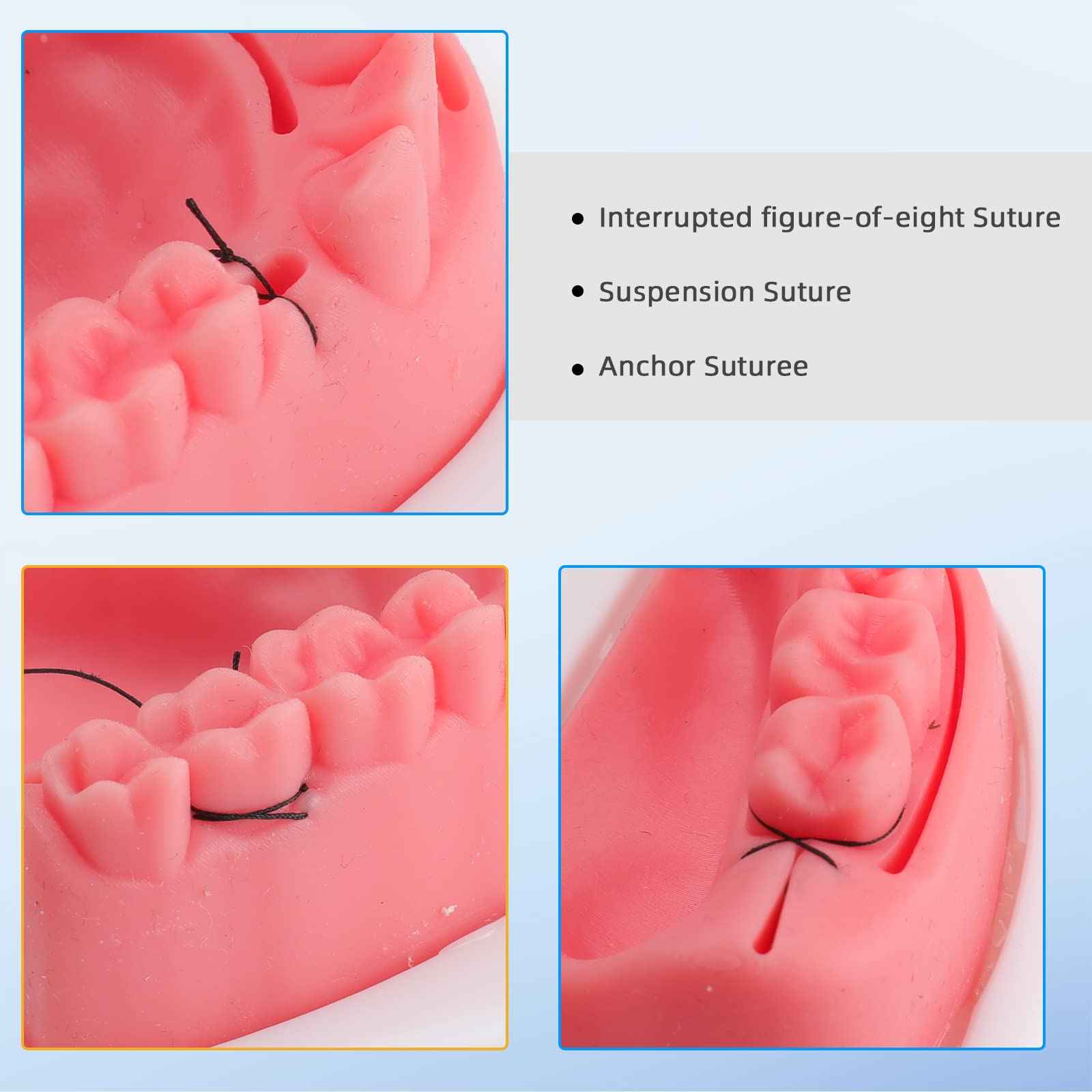 faruijie Dental Practice Kit - 25 Pcs Set Oral Practice Kit Include 4 Soft Silicone Oral Pad Training Kit for Dentist Assistant Training & Student Practice