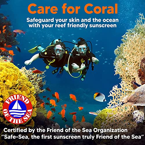 Safe Sea Zinc Oxide Sunscreen SPF50 | Clear Mineral Face Sunscreen Without White Cast | Anti-Jellyfish Sting Protective Lotion | Coral Reef Safe | Travel Size - 2Oz (60ml), Pack of 3