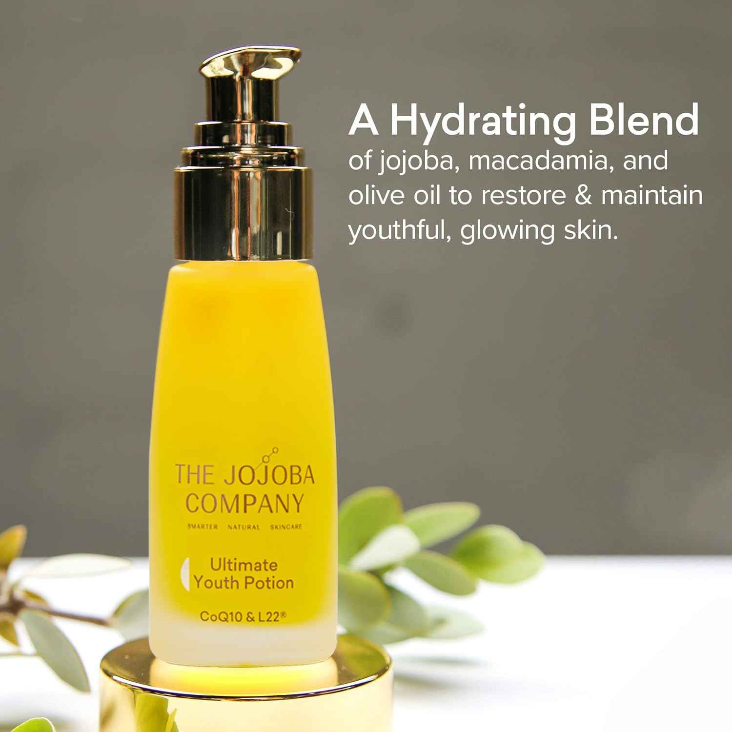 The Jojoba Company Ultimate Youth Potion, Maintains Youthful Glow, Improves Skin Elasticity & Firmness, Enriched w/Patented L22 Formula - Restores Skin Lipid Profile of a Healthy 22 Year Old, 50ml