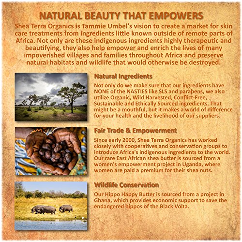 Shea Terra Organics Authentic African Black Soap Bar| Non Toxic All Natural Black Soap Full Body Wash that Cleanse, Refine, Firm Skin, Remove Acne and Wrinkles, and Manage Psoriasis and Eczema– 4 oz