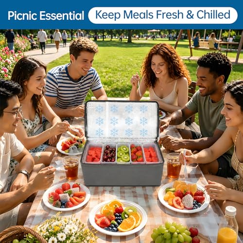 Snackle Box 10-Compartment Chilled Serving Tray with Ice Packs