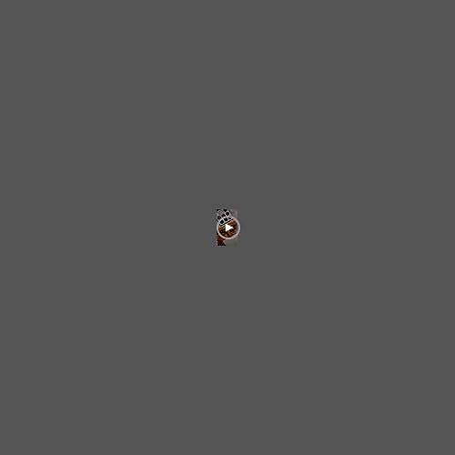ecofavor Black Smoky Eye shadow Palette, DE¡¯LANCI PANDA 9 Colors True Black Dark Grey Smokey Goth Makeup Pallet, 9 Soft Matte Shimmer High Pigmented Basic Black White Gray Shade for Halloween