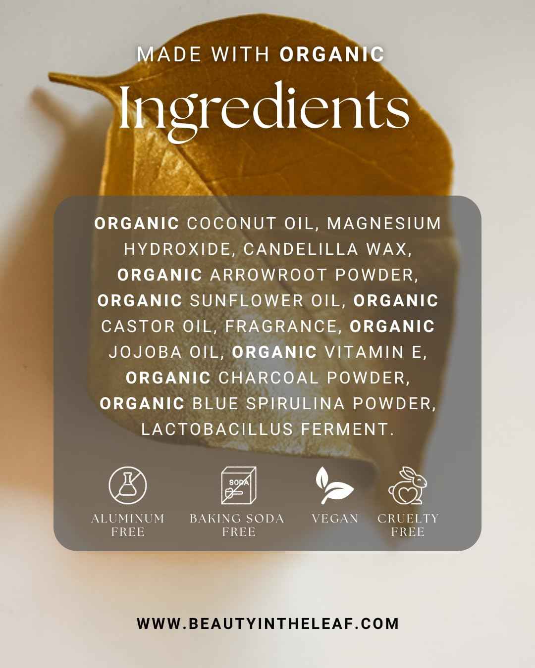 The Indigo Stick Natural Deodorant | Made in USA with Organic Ingredients | Aluminum-Free | 100% Vegan | Sandalwood Citrus Scent | Detoxifying Charcoal & Probiotic Odor Control Formula | 20% MORE