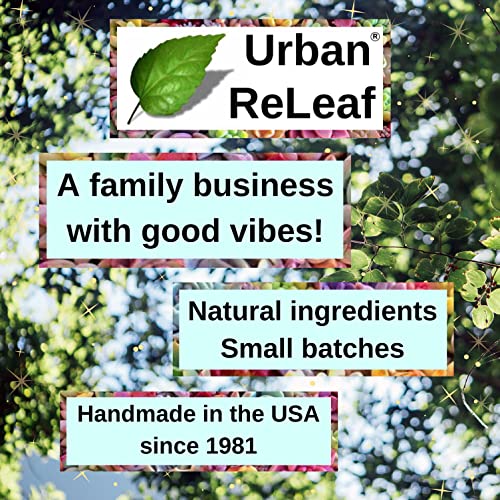 Urban ReLeaf Happy Birthday Body Balm! Fresh Citrus Spice Natural Shea Butter & Essential Oils, Thoughtful Gift! Gender Neutral Unisex Scent, Deeply Moisturizing. Special Present