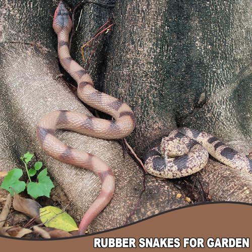 Realistic Rubber Snakes - Scare Birds & Prank Props | Upitry