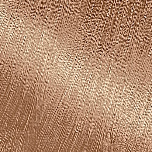 Garnier Nutrisse Nourishing Hair Color Creme, 82 Champagne Blonde (Champagne Fizz) (Packaging May Vary)