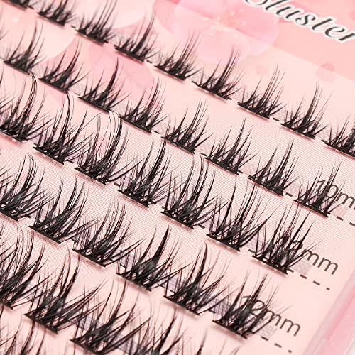 D Curl Lash Clusters 120 Pack Mix Sizes Dovetail Lashes