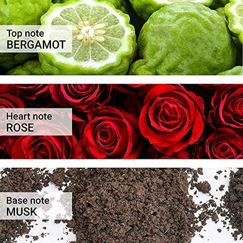 Carrera Jeans 700 UOMO ORIGINAL Eau de Toilette for Men, 2.53 Fl Oz