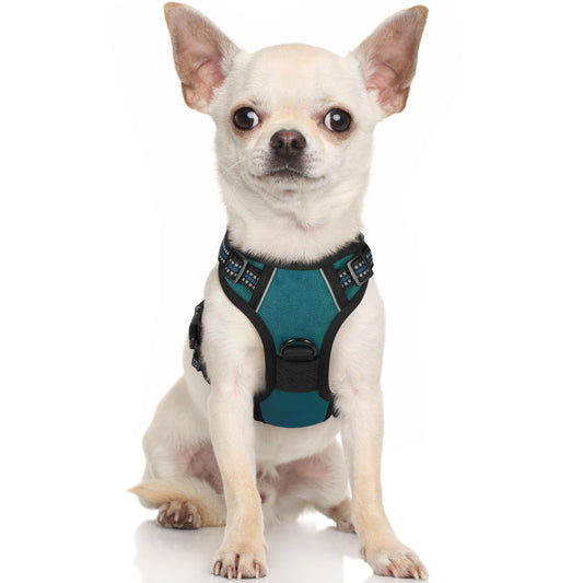 rabbitgoo Dog Harness, No-Pull Pet Harness with 2 Leash Clips, Adjustable Soft Padded Dog Vest, Reflective No-Choke Pet Oxford Vest with Easy Control Handle for Small Dogs, Blue Coral, XS