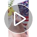 Red White Blue Body Glitter Stick - Waterproof 4th of July