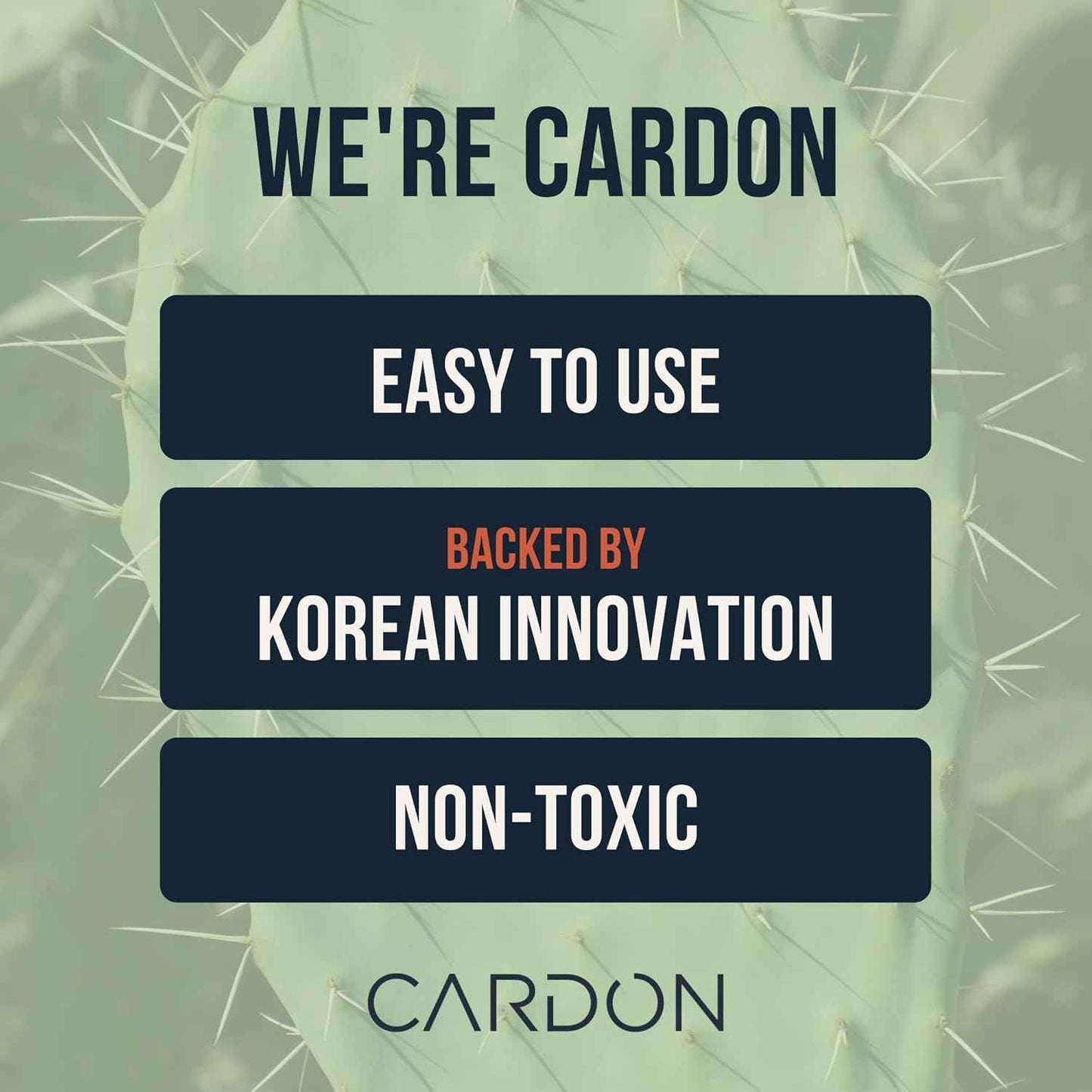 Cardon Men's SPF 30 Korean Sunscreen for Face, Facial Moisturizer With Sunblock, Anti-Aging Face Sunscreen, SPF Facial Moisturizer, Men's Skin Care Lotion with Cactus Extract (1 Bottle - 35ml)