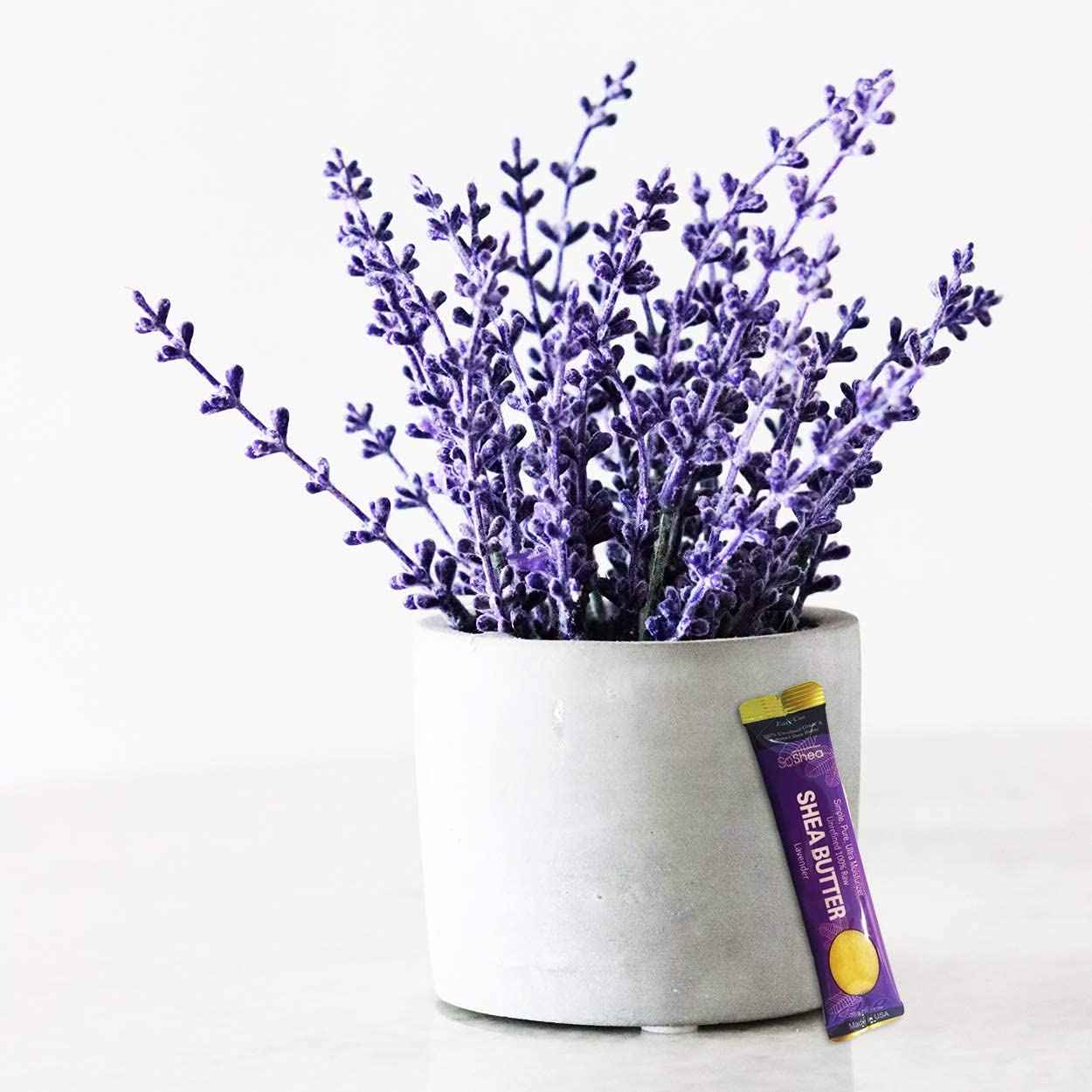 SoShea Whipped African Shea Butter Sampler For All Hair Textures & Skin Types Unrefined Grade A 100% Raw Original, Musk, Lavender, Black Coconut, Egyptian Musk, Baby Powder Pack of 12 x 0.75 oz