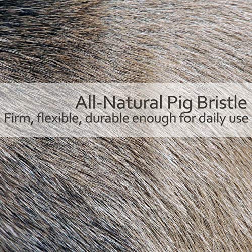 Redecker Natural Pig Bristle Nail Brush with Oiled Thermowood Handle, 3-3/4-Inches, Black