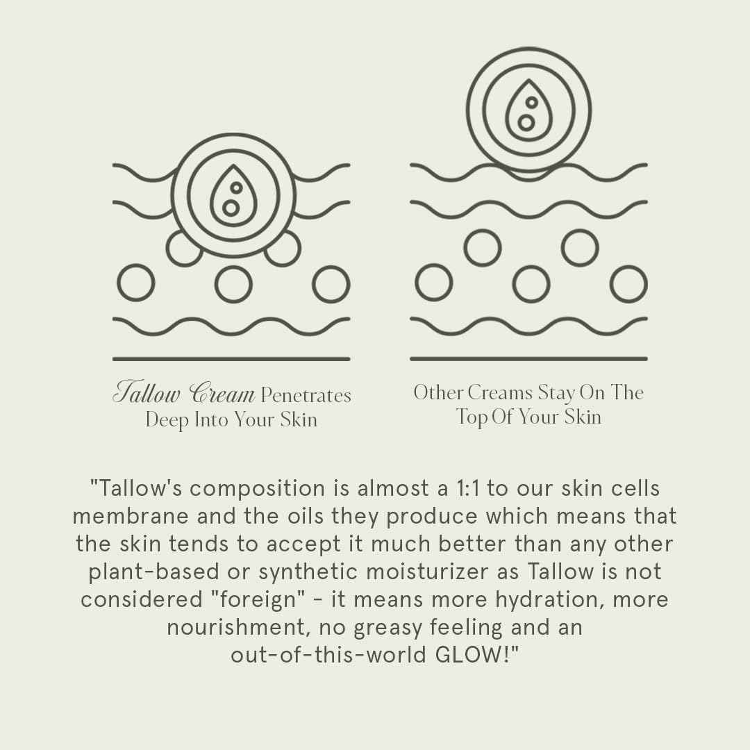 KUSHI Grass-Fed Whipped Tallow Cream Moisturizer for Face & Body – Organic Lavender – Vitamins A, D, E, K – Paraben & Sulfate Free, All-Natural Skin Care – 1.3oz