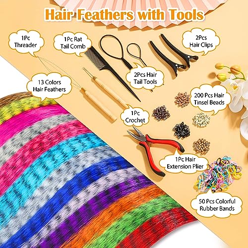 65 Pcs Hair Feather Extensions Kit with Tools - 13 Colors