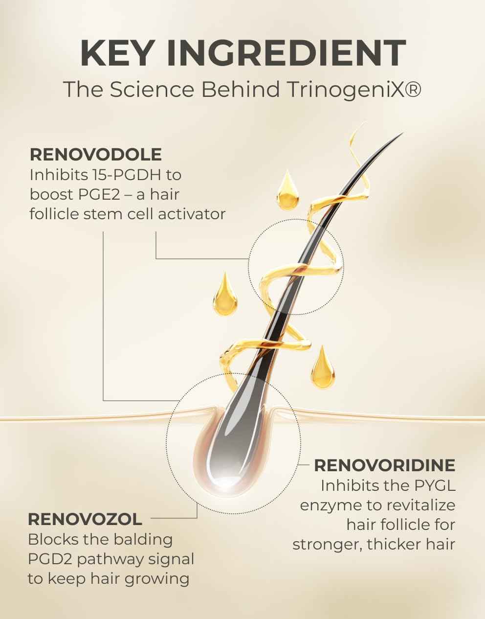 Motifull Hair Boosting Hair Thickening Shampoo for Thinning Hair with Biotin & Caffeine | Hair Growth Shampoo for Stronger Root & Volume (16.9 fl oz)