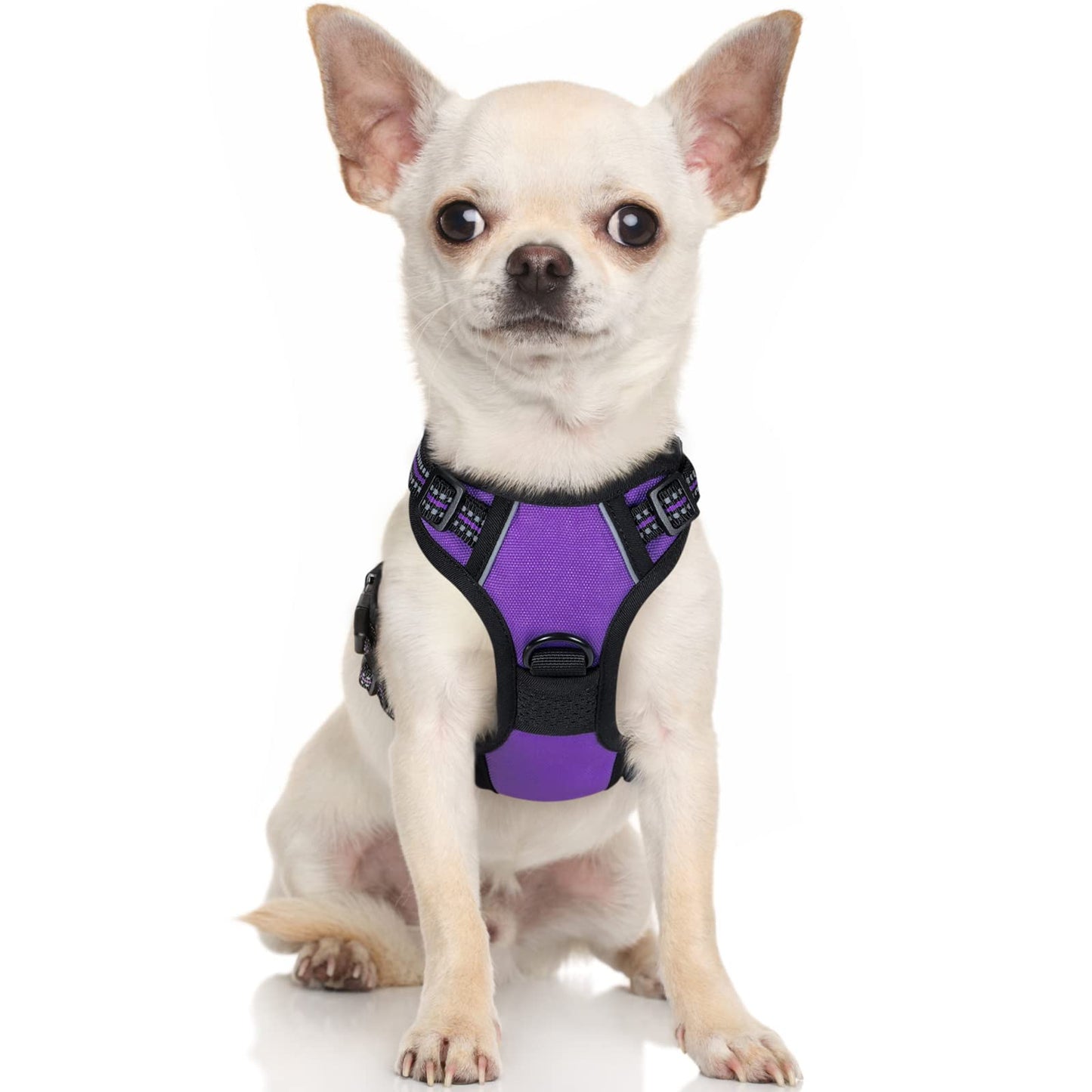 rabbitgoo Dog Harness, No-Pull Pet Harness with 2 Leash Clips, Adjustable Soft Padded Dog Vest, Reflective No-Choke Pet Oxford Vest with Easy Control Handle for Small Dogs, Purple,XS