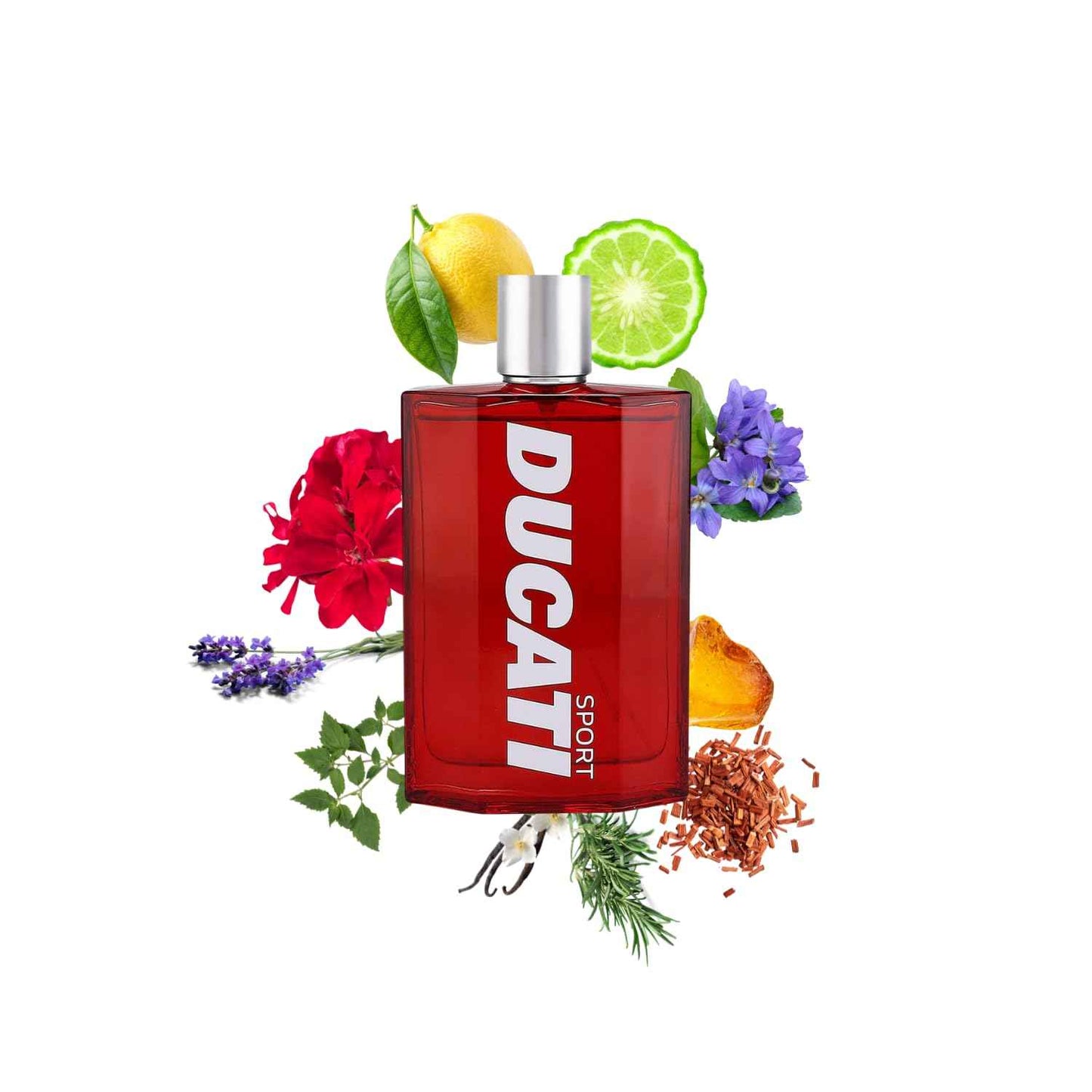 Ducati Sport Cologne for Men - Amber Fougere Scent with Lavender, Bergamot, and Rosemary - Mens Cologne and Drawstring Backpack - 2 pc.