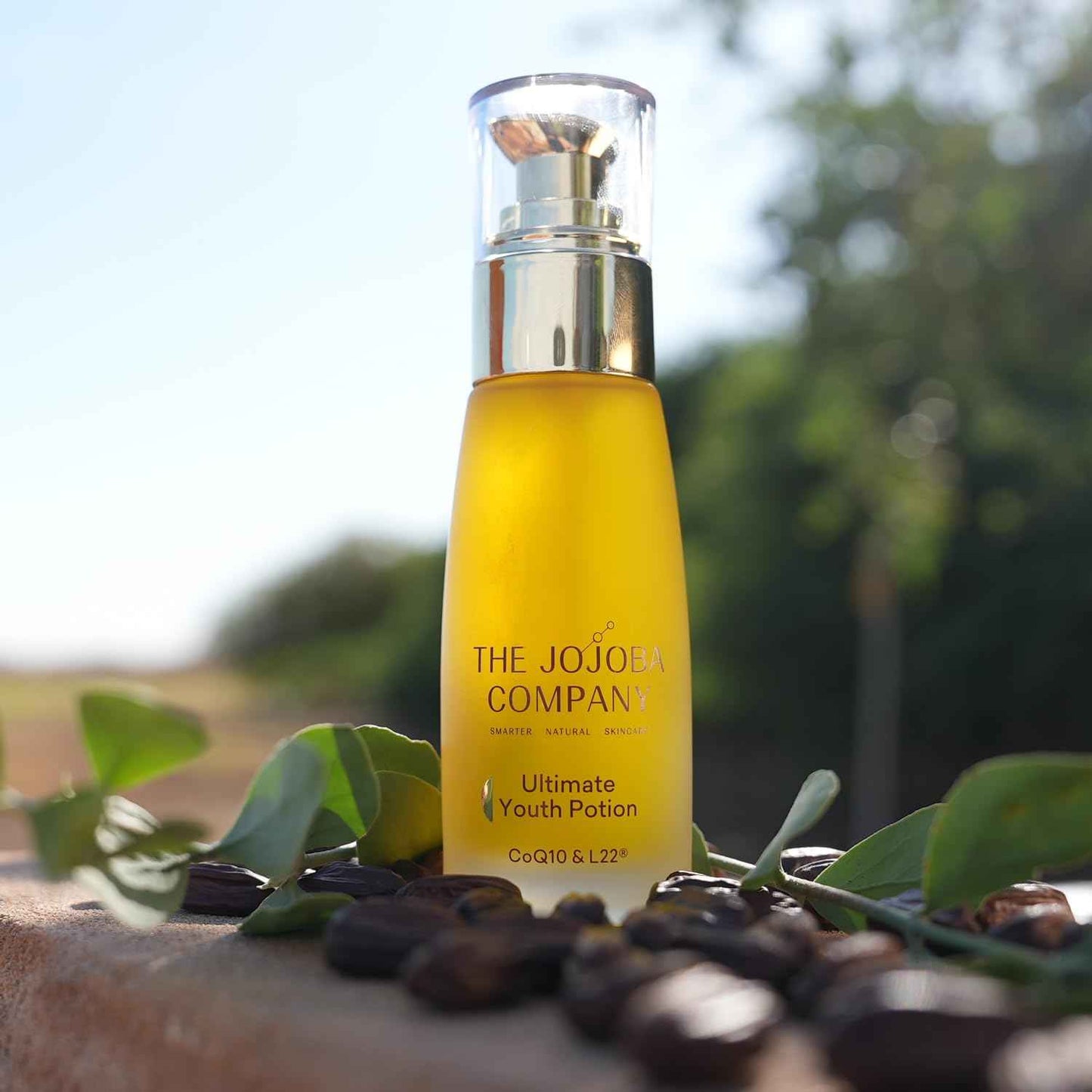 The Jojoba Company Ultimate Youth Potion, Maintains Youthful Glow, Improves Skin Elasticity & Firmness, Enriched w/Patented L22 Formula - Restores Skin Lipid Profile of a Healthy 22 Year Old, 50ml