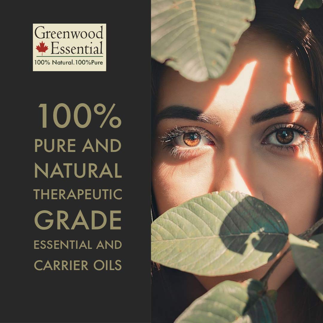 Greenwood Essential Pure Bay Essential Oil (Pimenta racemosa) with Glass Dropper Steam Distilled 10ml (0.33 oz)