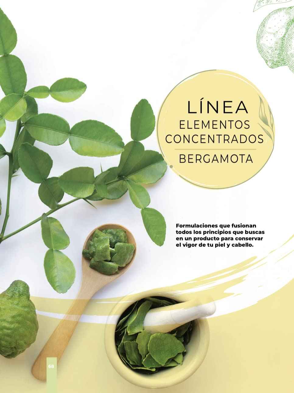 Hair Growth Shampoo Bergamota 1lt. Florigan (1 unit)