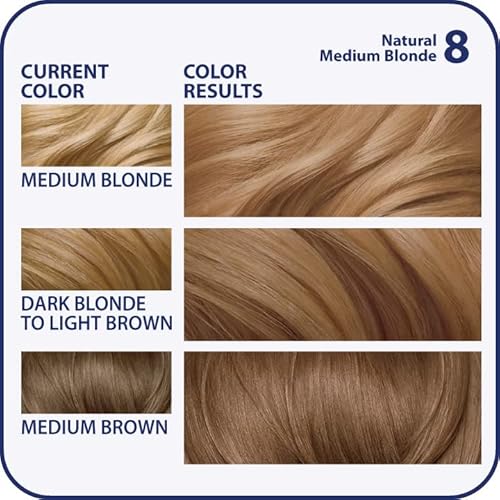 Clairol Nice'n Easy Liquid Permanent Hair Dye, 8 Medium Blonde Hair Color, Pack of 3