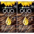 Garnier Olia Ammonia-Free Hair Highlights Kit H03 Brunettes