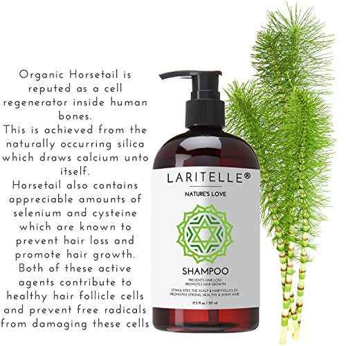 Laritelle Organic Hair Growth Set | Shampoo 17 oz + Conditioner 16 oz + Hair Loss Treatment 4 oz | Organic Quinoa + Keratin + Rosemary, Ginger & Grapefruit | NO GMO, SLS, Gluten, Parabens, Phthalates