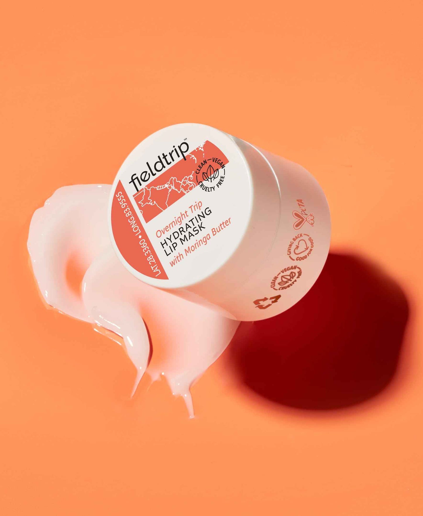 Fieldtrip Starter Set