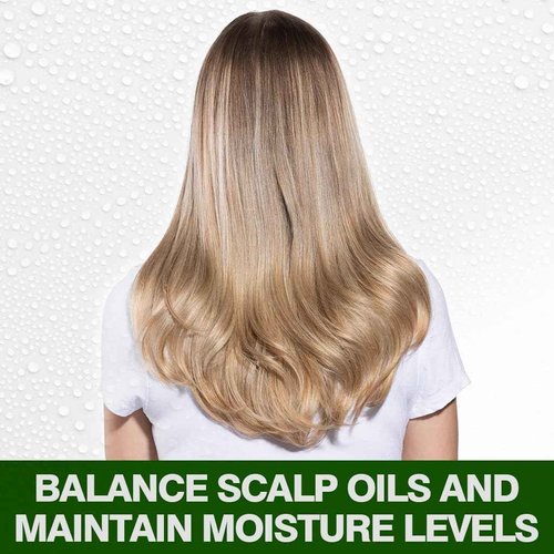 CHI Tea Tree Oil Shampoo, Strengthening Shampoo For Gently Cleansing Hair & Removing Impurities, Sulfate, Paraben, & Cruelty-Free, 25 Oz