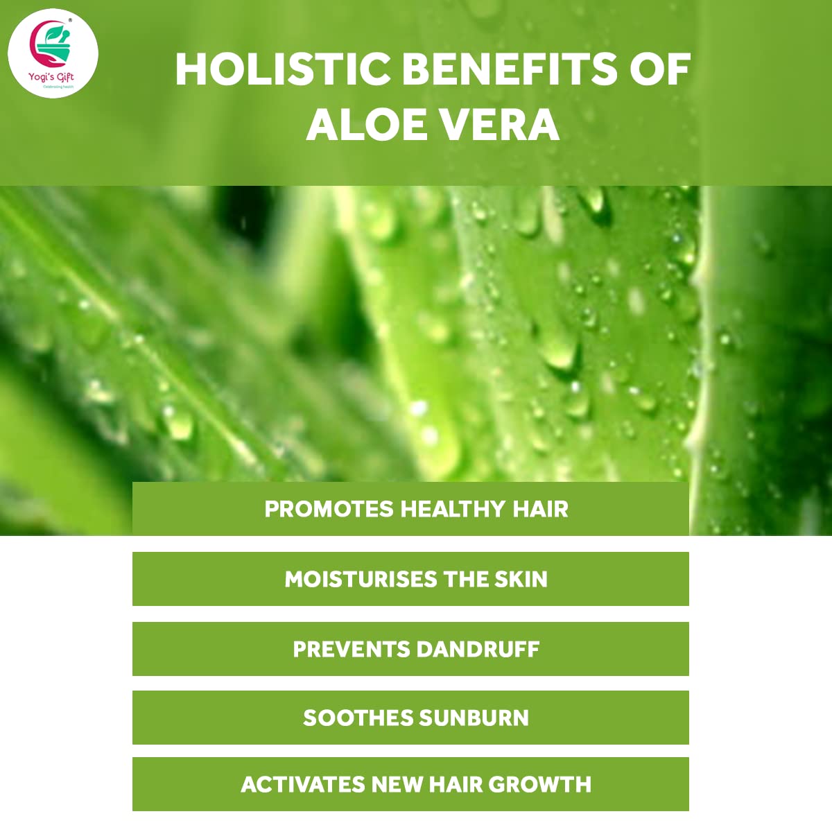 Aloe Vera Powder 8 oz | Moisturizing Face Mask Ingredient For Dry Skin | Hair Mask Ingredient for Hair Growth | Made from Pure & Cultivated Aloevera | by Yogi’s Gift®