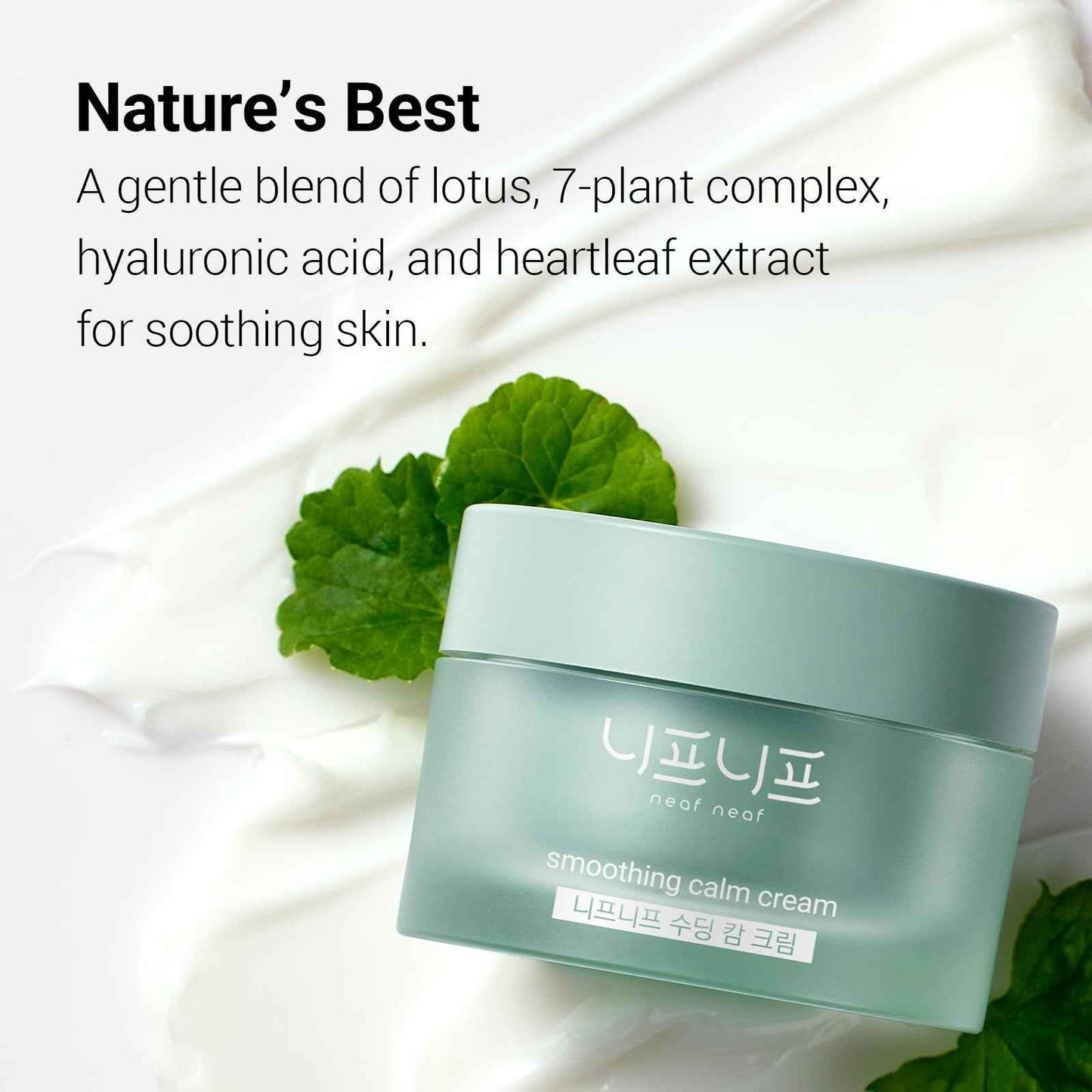 NEAF NEAF Smoothing Calm Cream with Panthenol, Hyaluronic Acid for Sensitive Skin, Lightweight, Korean Skincare (50ml/ 1.76 oz.) Nourishing Skin Barrier Moisturizer