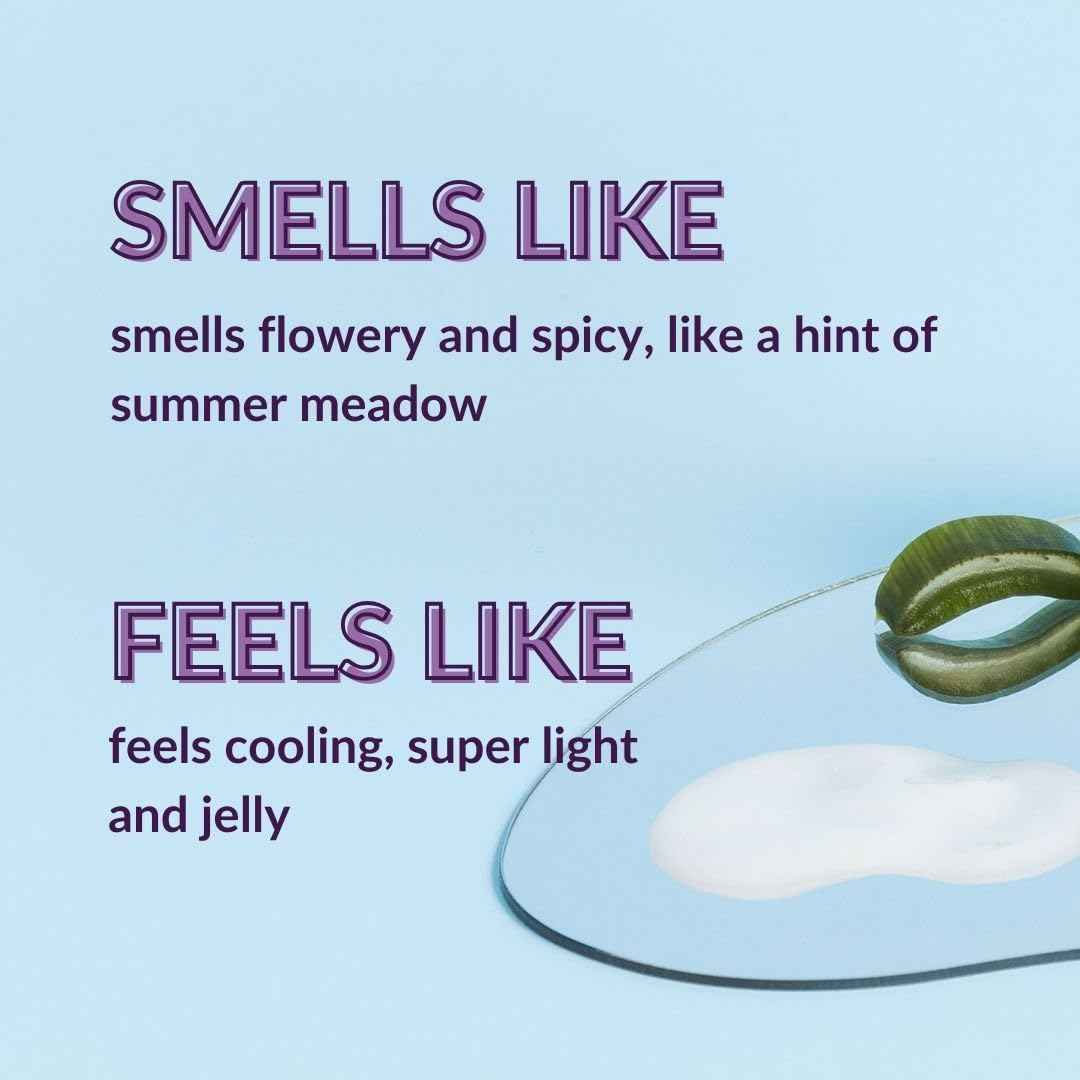 Hyaluronic Acid Moisturiser Gel with Organic Aloe Vera - NATURAL VEGAN COSMETICS - 100ml - Intensive Hydration - Anti-Ageing and Anti-Wrinkle Face Care for Men and Women