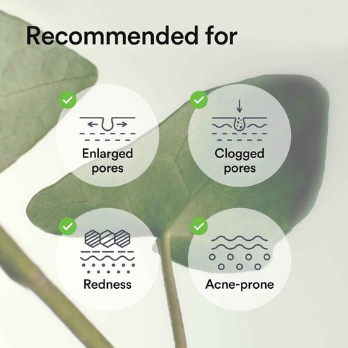 Abib Collagen Gel Mask Heartleaf Jelly 10 Sheets (Soothing) I Korean Vegan Collagen, Cooling Calming Hyaluronic Acid Hydrogel Face Mask Skin Care