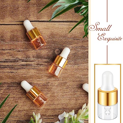 100 Pcs Mini Glass Oil Dropper Bottles with Caps - 1/5/10/15ml