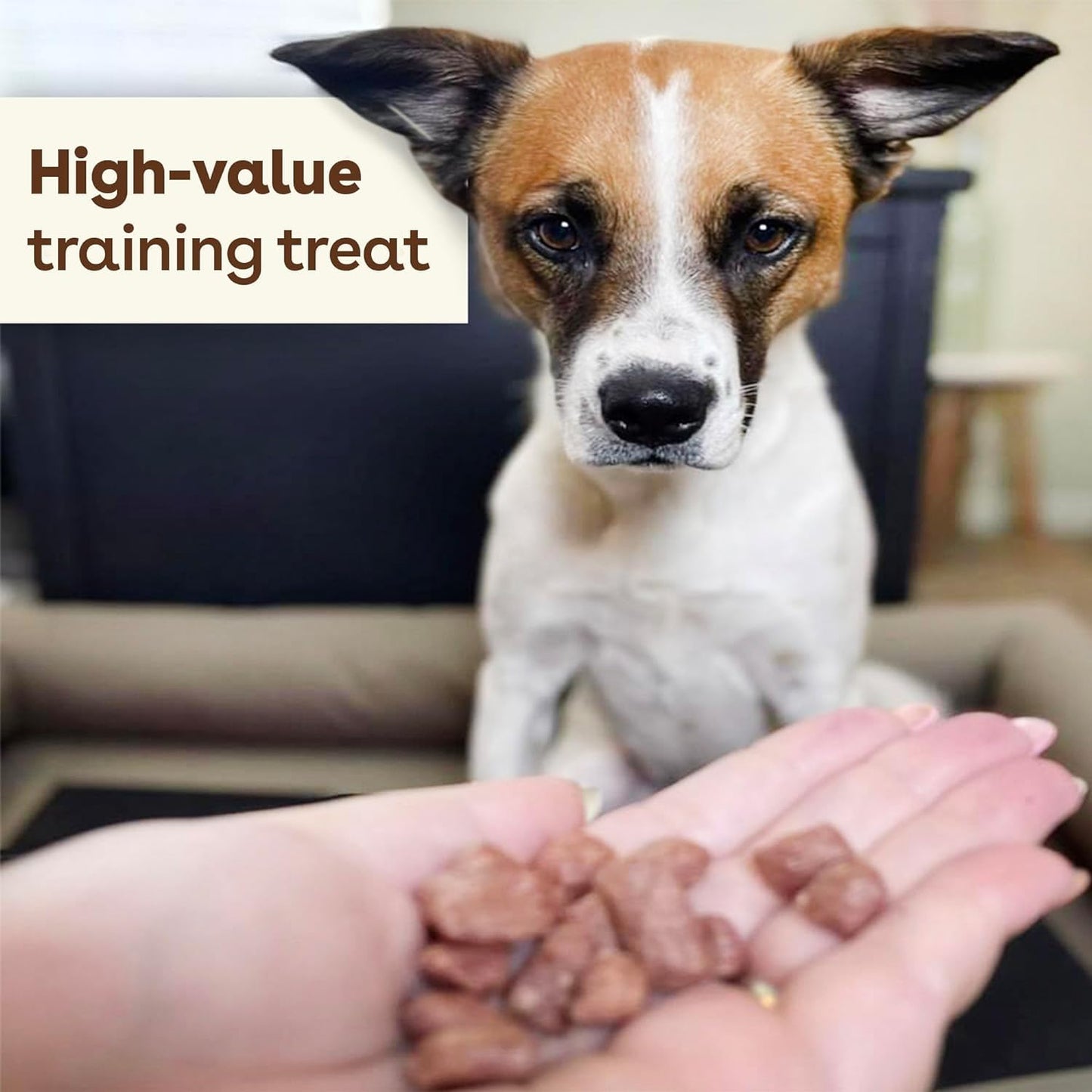 Pupford Freeze Dried Training Treats for Dogs & Puppies, 225+ Two Ingredient Bites (Salmon, 2 oz)