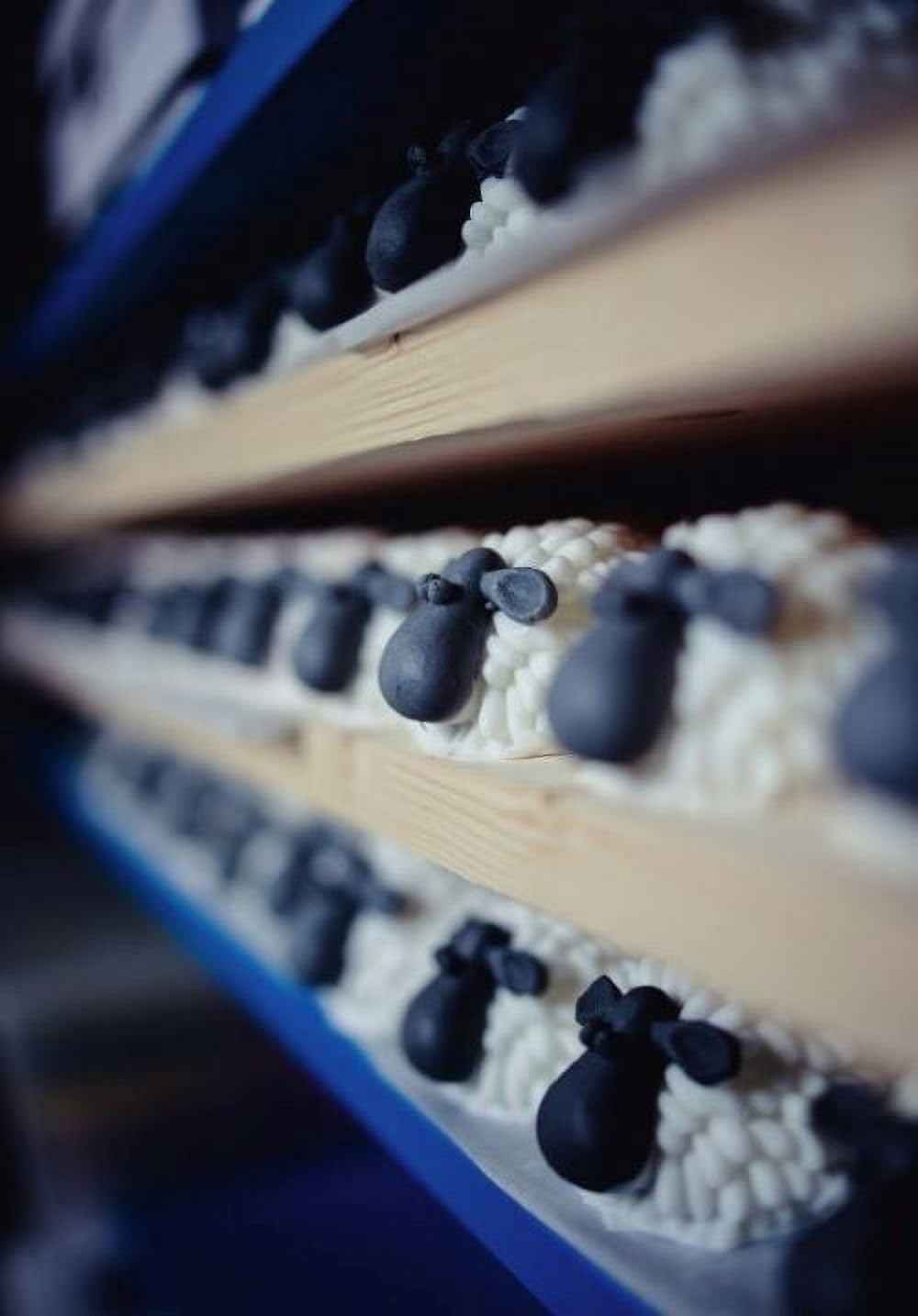 Pure Oskar Curragh Sheep Handmade Irish Soap Natural Moisturizing Ingredients Cute Quirky Fun Irish Gift, Made in Ireland, Gift-boxed