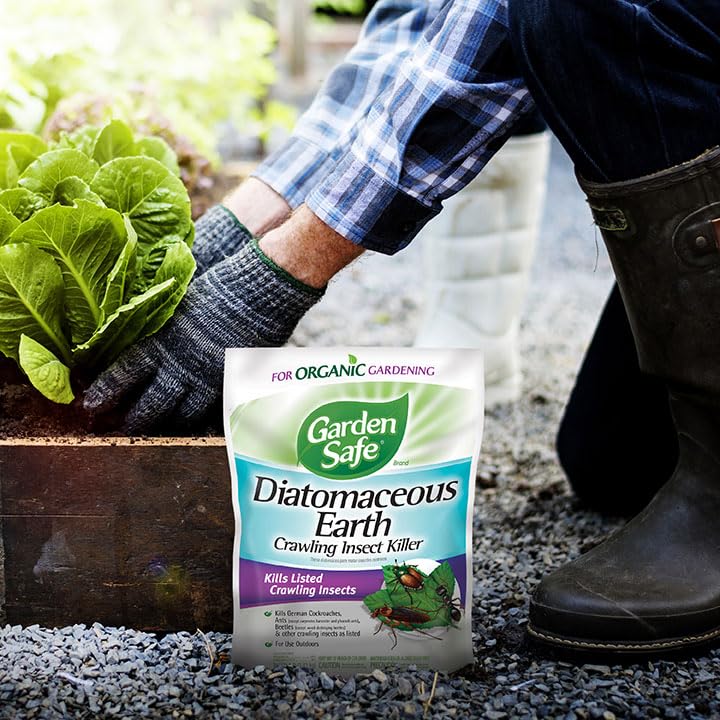 Garden Safe Insect Killer, Diatomaceous Earth, 1 Pack