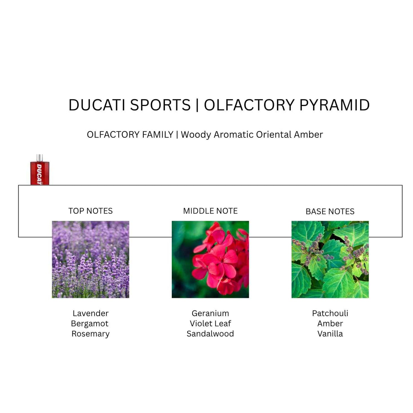 Ducati Sport Cologne for Men - Amber Fougere Scent with Lavender, Bergamot, and Rosemary - Mens Cologne and Drawstring Backpack - 2 pc.
