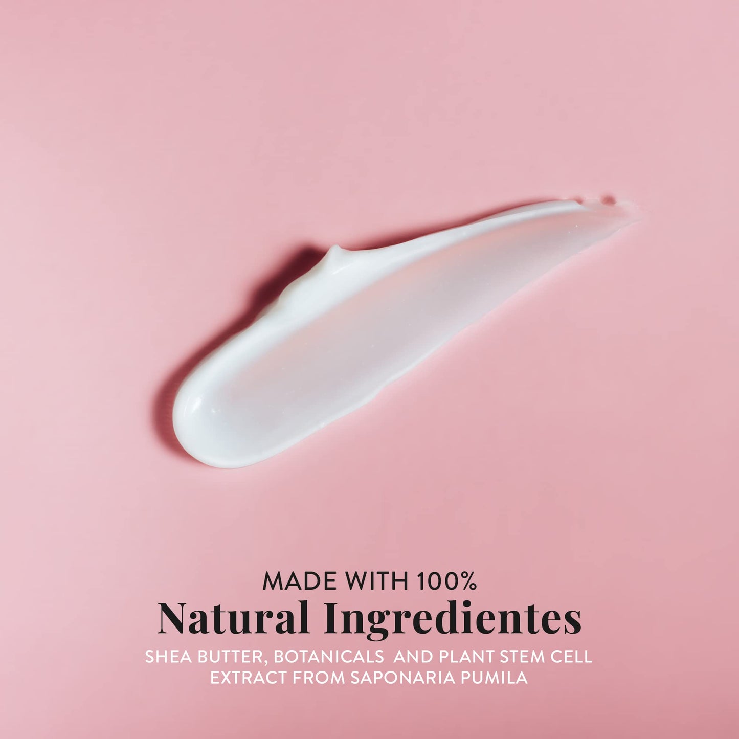 Berayouth Anti-Aging Cream, Facial Moisturizer, With Plant Stem Cells, Helps Reduce Wrinkles, 100% Natural Ingredients, Cruelty Free, by L’Eudine