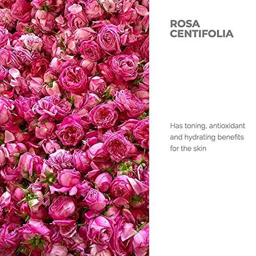 Alteya Organic Centifolia Rose Water 500ml - 100% USDA Certified Organic Big Bottle Authentic Pure Rosa Centifolia Flower Water Steam-Distilled and Sold Directly by The Rose Grower Alteya Organics