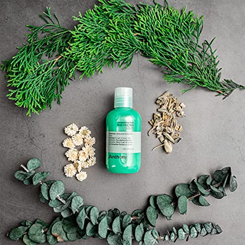 Anthony Mens Body Wash and Shampoo: Invigorating Rush 2-In-1 Liquid Gel Soap & Hair Shampoo, Pine Wood Scent, Hydrating with Eucalyptus, Canadian Balsam, Birch Leaf, Charcoal, Sea Kelp, 3.4 Fl. Oz