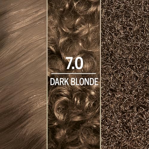 Schwarzkopf Keratin Blonde Hair Dye, 7.0 Dark Blonde, Professional Quality Permanent Hair Color, Bond Enforcing System Helps Prevent Breakage* Pre-Color Serum & Conditioner Included