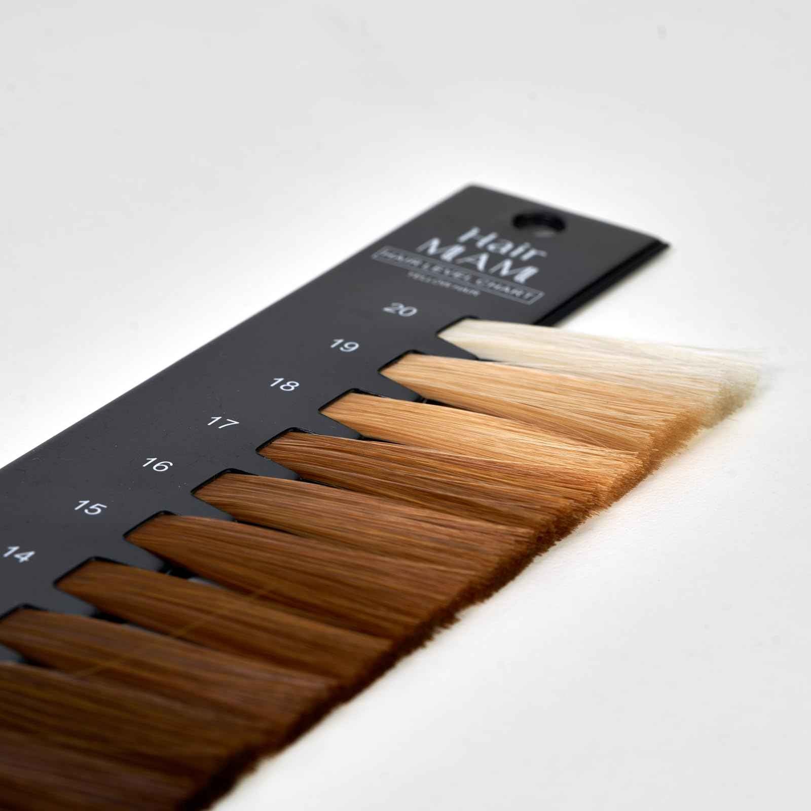 Hair Level Scale Chart Set Checking Brightness For Hair Salon and Hairdresser