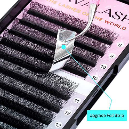 VAVALASH W-Shaped 5D Premade Lash Fans 0.07 D Curl Volume Extensions