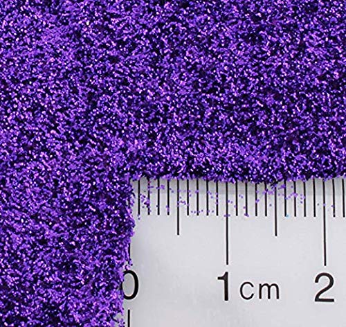 GLITTIES - Plum - Purple Loose Fine Glitter Powder (.008") - Great for Nail Art, Nail Polish, Gel, Gel Polish or Acrylic Nail Powder - Solvent Resistant - (30 Gram Jar)