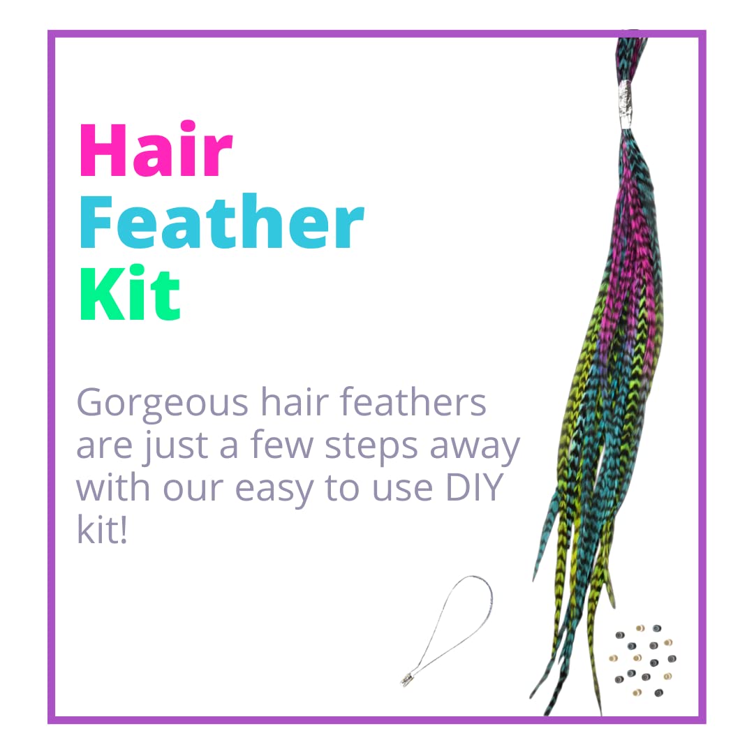 Tie Dye Feather Hair Extensions, 100% Real Rooster Feathers, 20 Long Thin Loose Individual Feathers, By Feather Lily