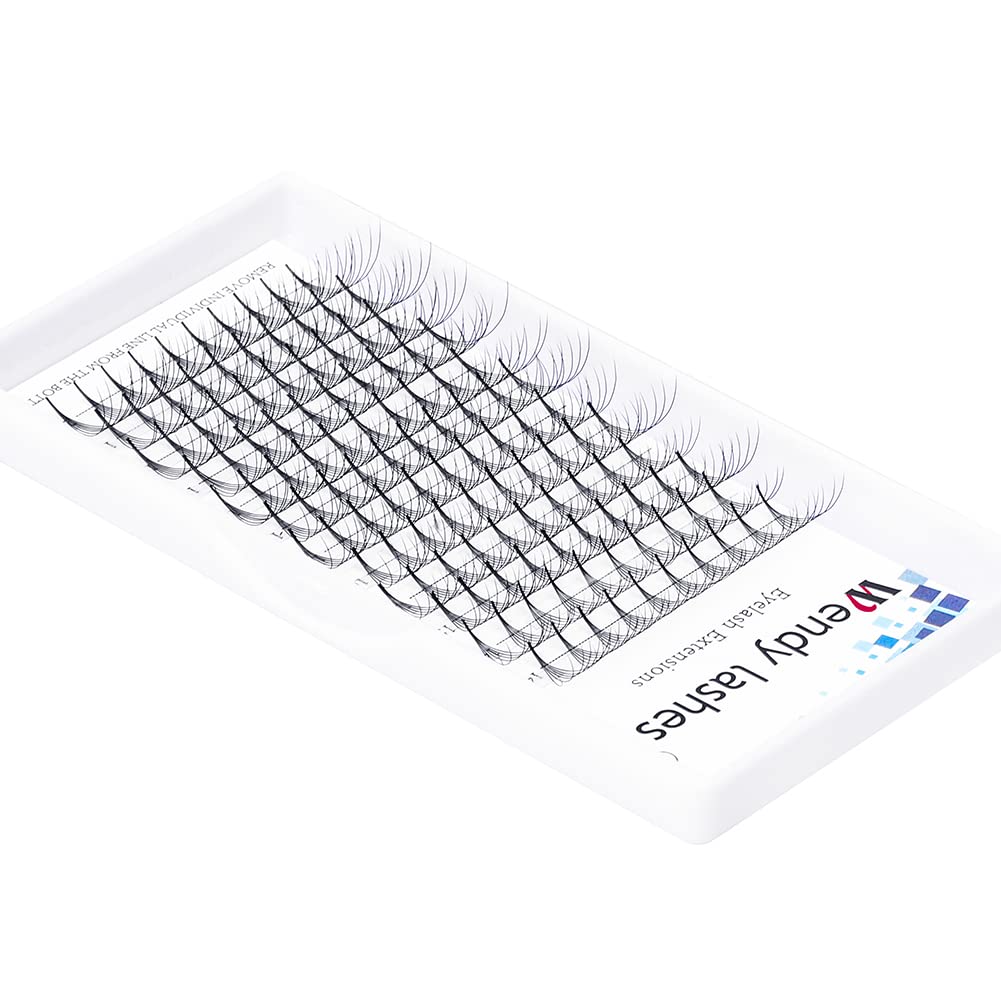 Volume Lash Extensions 10D Premade Fans Eyelash Extensions 0.07mm Thickness C/D Curl Short Stem Premade Volume Eyelash Extensions Pointed Base Fans by WENDY LASHES(10D-0.07-D, 14-20mm Mixed Tray)