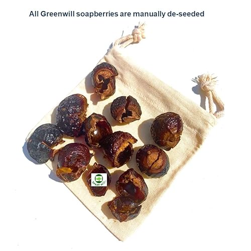 0.75 Pound (12 Ounces) Organic De-seeded Soapberry/Soap Nut with 1 Wash Bag