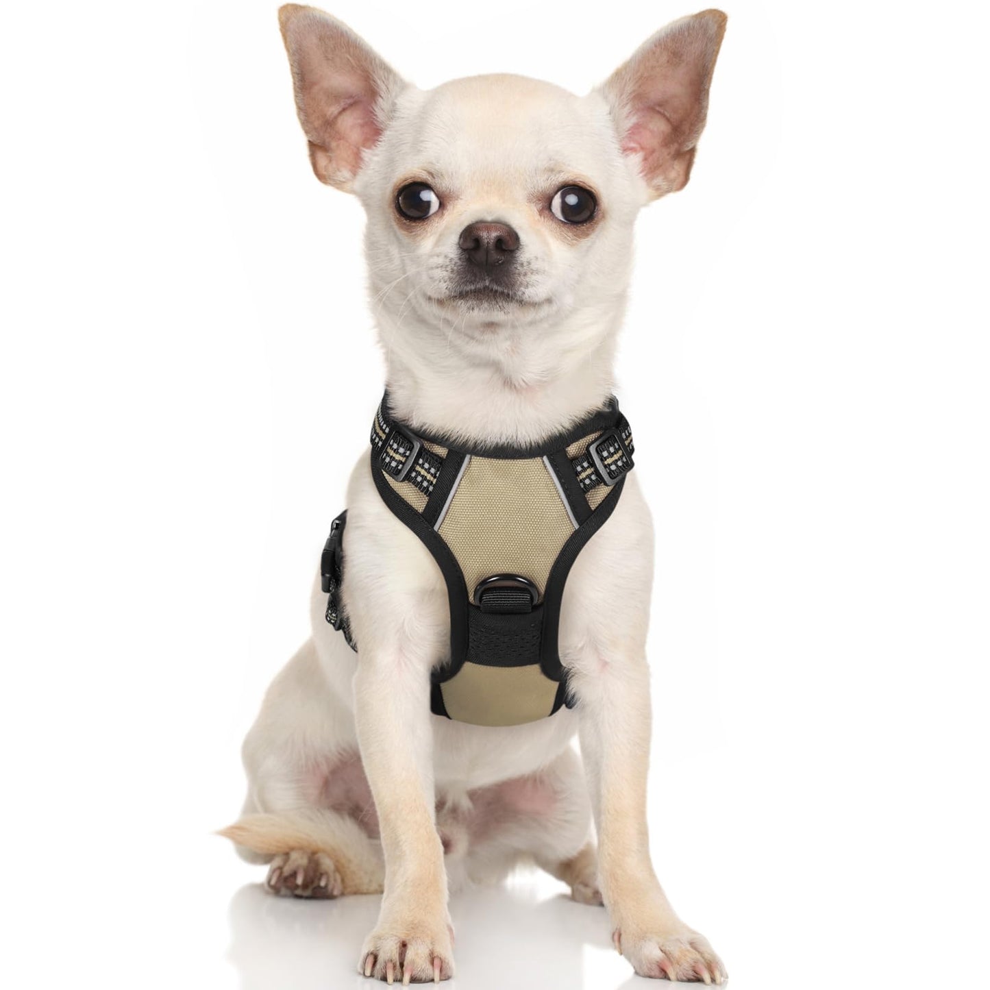 rabbitgoo Dog Harness, No-Pull Pet Harness with 2 Leash Clips, Adjustable Soft Padded Dog Vest, Reflective No-Choke Pet Oxford Vest with Easy Control Handle for Small Dogs, Beige, XS